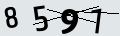 verifycode